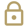 icons8 lock 100