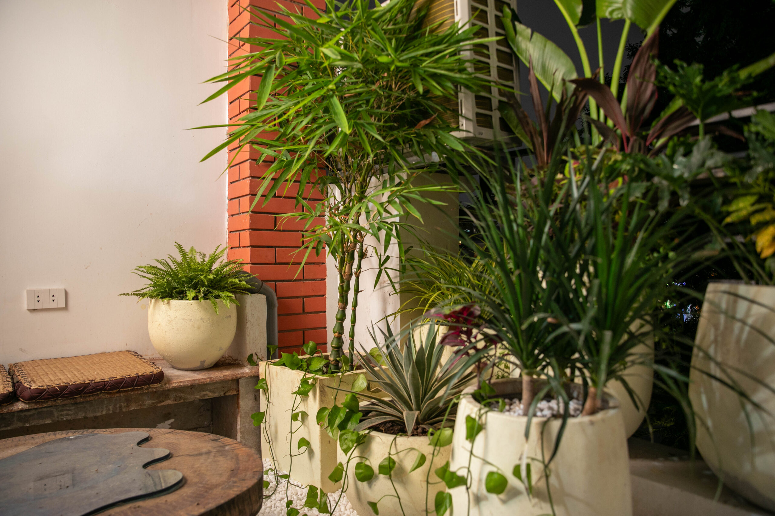 Tranquil Heritage Room 6