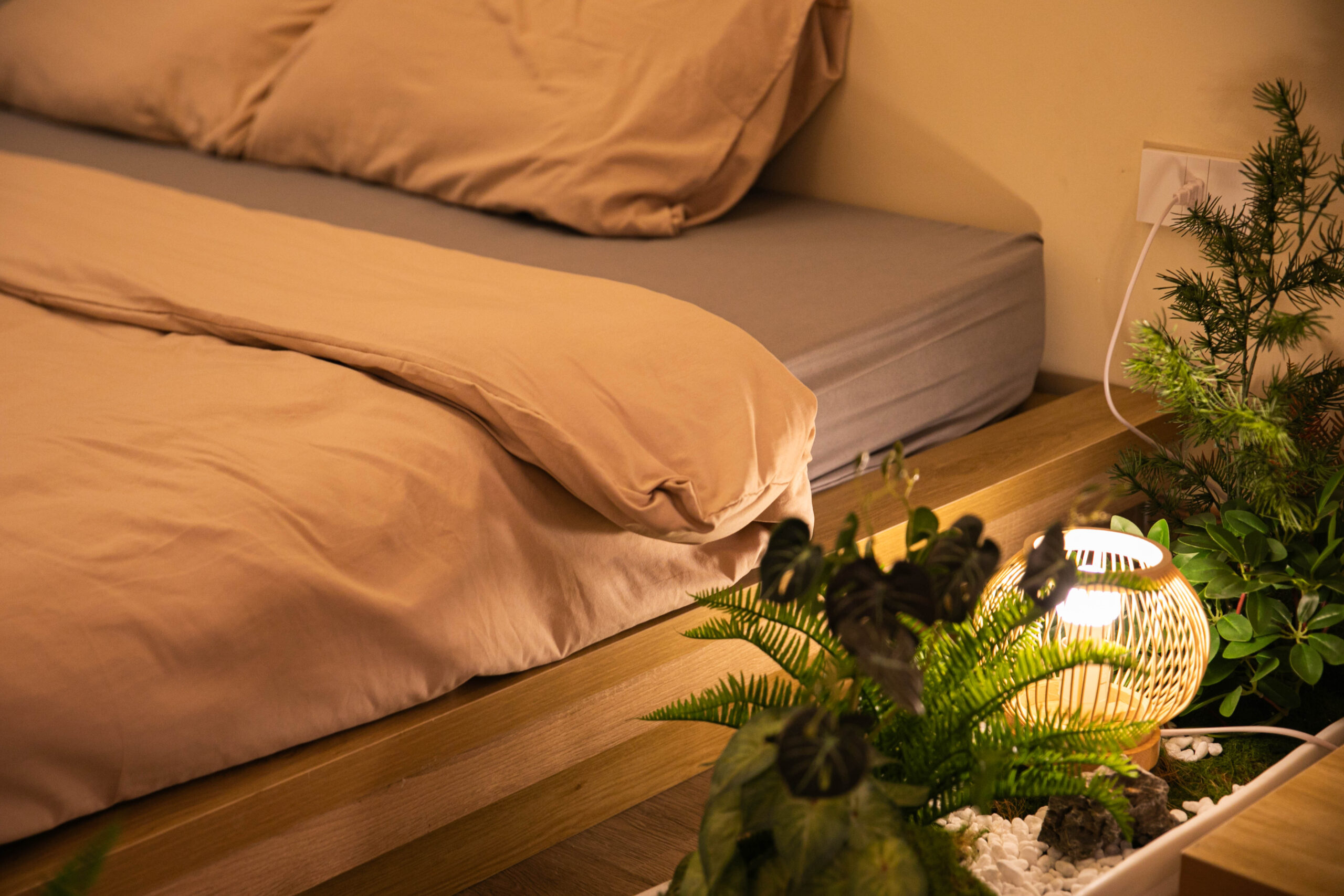 Japandi Lightwood Room 1.6